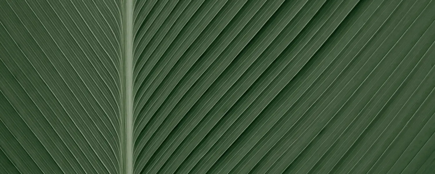 page-image